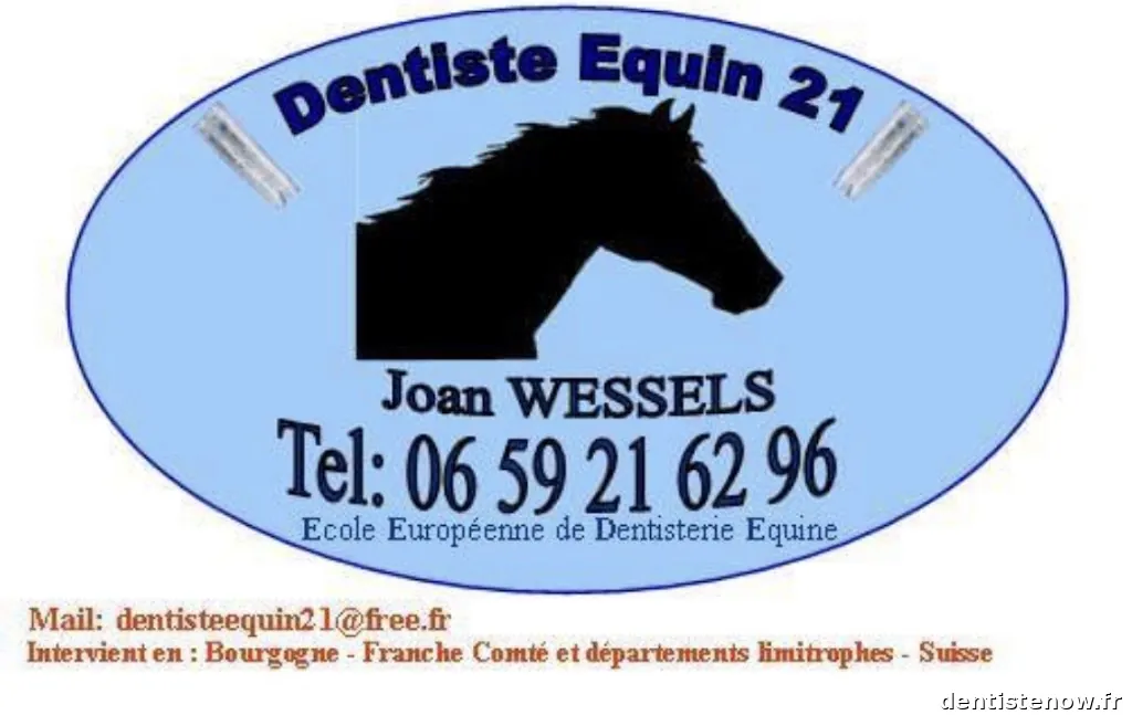 dentiste equin 21 (cheval)