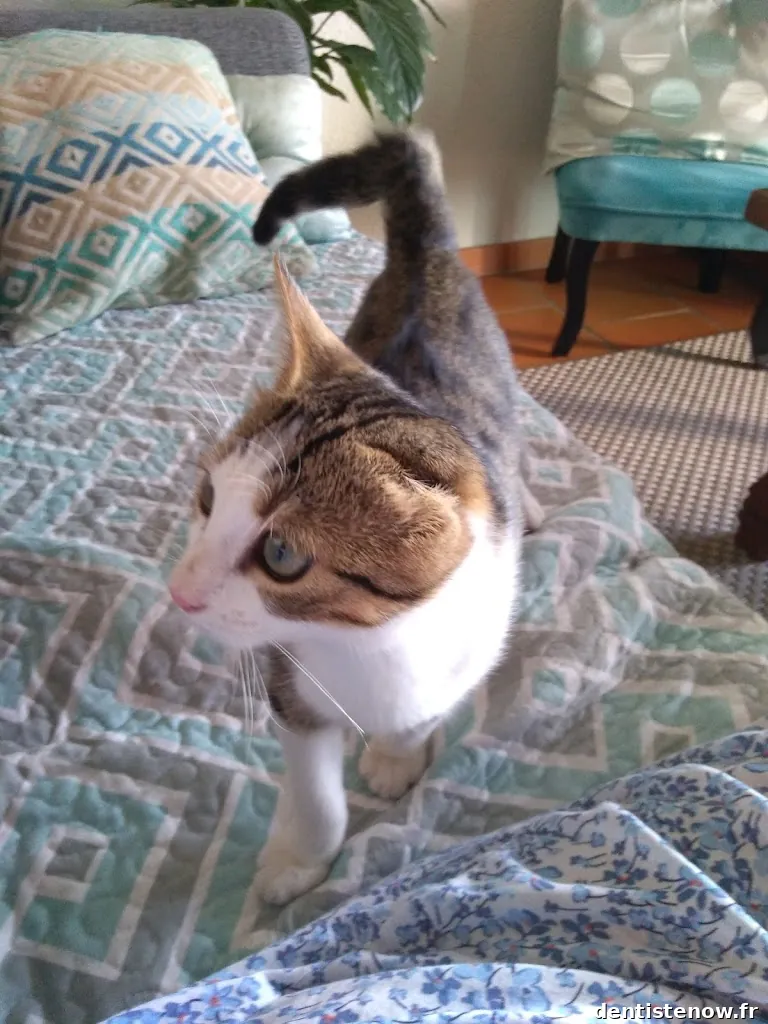 Docteur Combe François