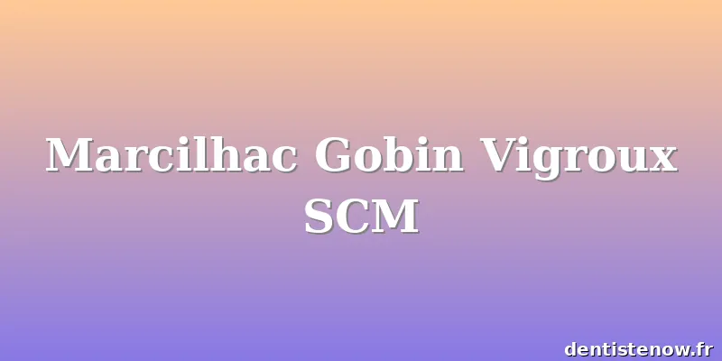 Marcilhac Gobin Vigroux SCM