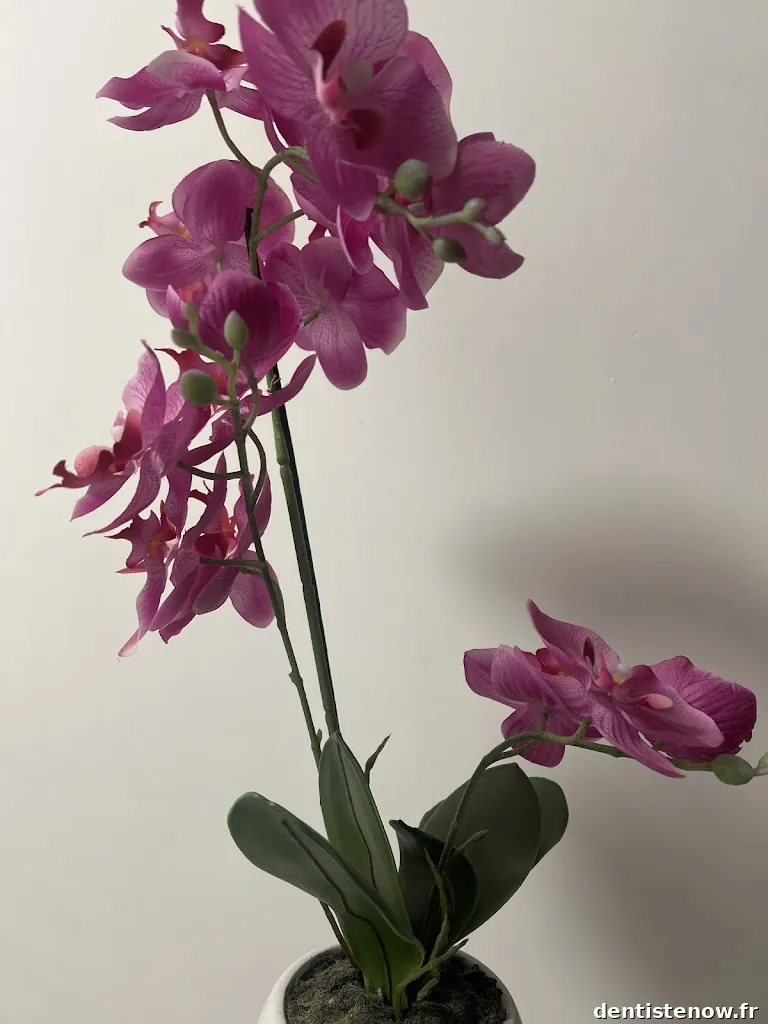 Centre dentaire Docali Lyon 9 Valmy