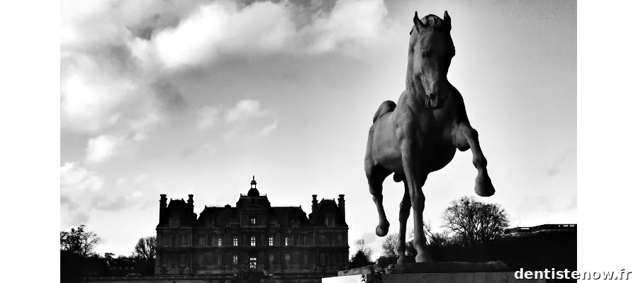 SELARL Cabinet Dentaire du Dr Olivier CLEMENT.