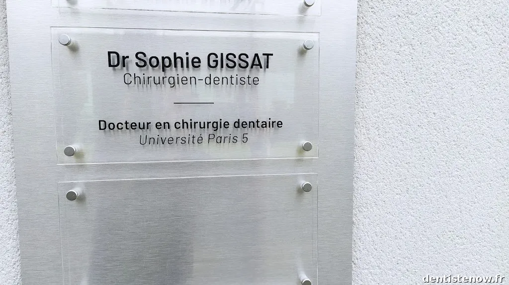 Dr Sophie GISSAT