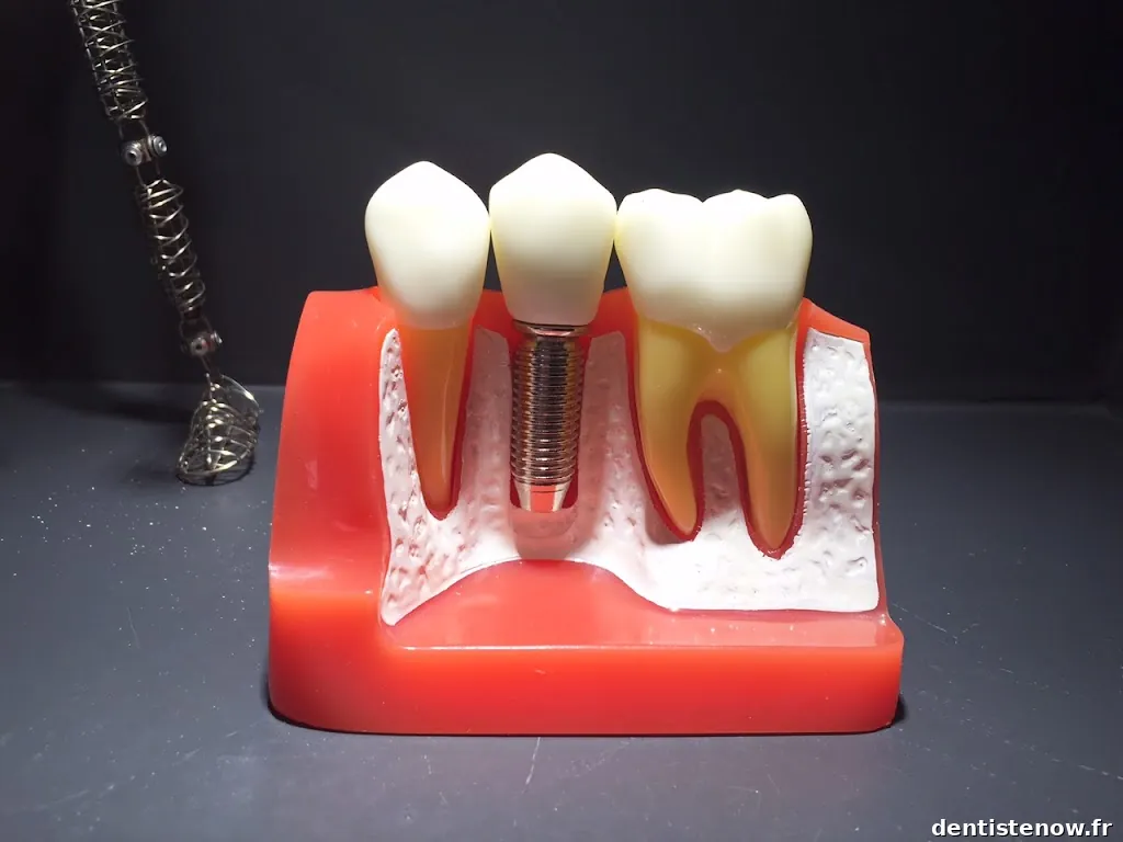 Docteur SOLIGNI Wilfried