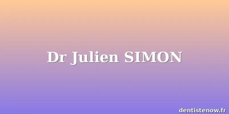 Dr Julien SIMON
