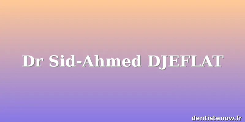 Dr Sid-Ahmed DJEFLAT