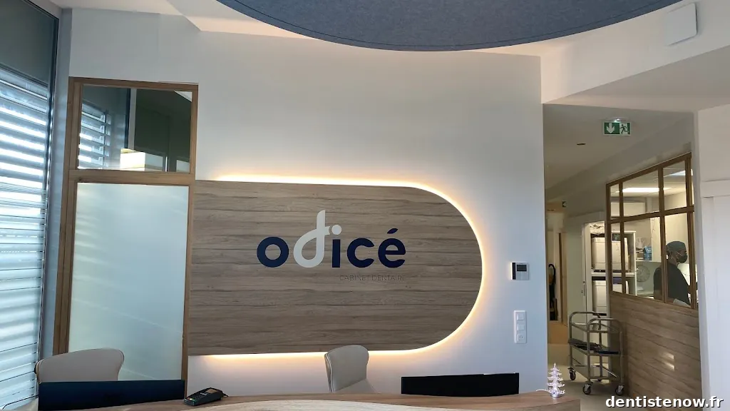 Dr Yann TASSET et Dr Lise TISSERAND , Cabinet Dentaire Odicé