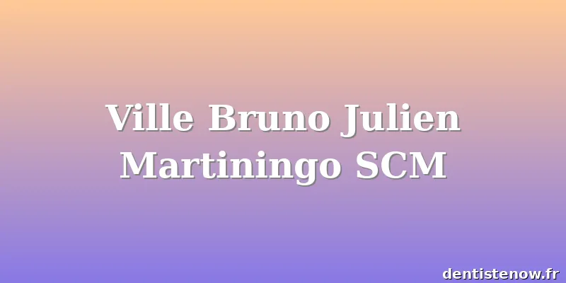 Ville Bruno Julien Martiningo SCM