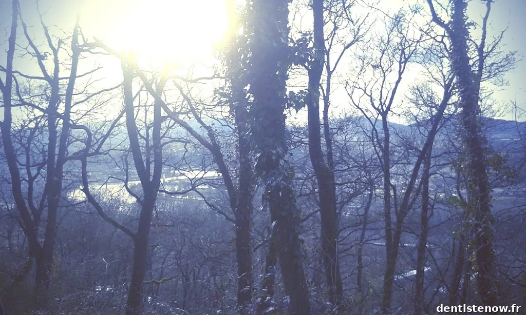 Margot BOZAJIC - Psychologue