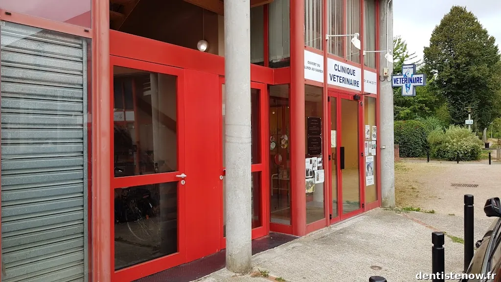 Docteur Mercier Virginie